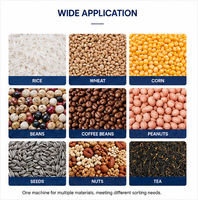 Machine de tri optique de haute précision pour les grains de café, le riz et les matériaux plastiques