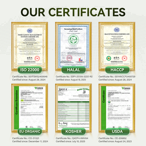 BSTBIO OEM Instant Arabica fungo <span class=keywords><strong>caffè</strong></span> in polvere MCT olio L-teanina con <span class=keywords><strong>caffè</strong></span> ai funghi - Product Image 6