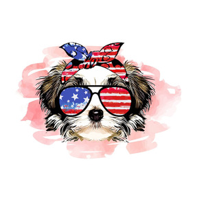 Miếng Dán Quần Áo Áo Áo Phông Ngầu Giấy Truyền Nhiệt Bằng Sắt Thiết Kế Truyền Nhiệt DTF Bù Đắp - Product Image 6