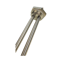 Éléments chauffants électriques en acier inoxydable 300W et 600W, tubes chauffants 12V DC pour maison, camping-car et éolienne solaire
