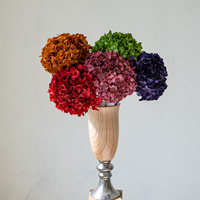 Fleur naturelle premium, véritable, durable, grande tête, hortensia à grandes feuilles, fleur séchée pour remplissage de boîte cadeau