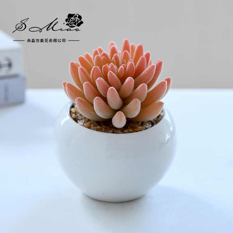 SKU_17