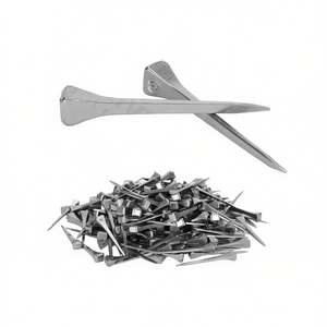 Clous à cheval en acier inoxydable de qualité supérieure, 250 pièces, réutilisables, outils de maréchal-ferrant, accessoires pour équitation, fer à cheval, CE - Product Image 1