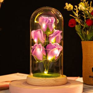 2025, regalo del Día <span class=keywords><strong>de</strong></span> San Valentín <span class=keywords><strong>de</strong></span> la madre para niñas y mujeres, jabón <span class=keywords><strong>de</strong></span> galaxia eterna, flor <span class=keywords><strong>de</strong></span> Rosa en cúpula <span class=keywords><strong>de</strong></span> cristal con luz LED - Product Image 5