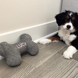 Kişiselleştirilmiş işlemeli adı özel köpek oyuncak Pet çiğnemek oyuncaklar dayanıklı köpek oyuncaklar yılbaşı hediyeleri - Product Image 5