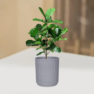 Scandinavian phong cách đơn giản thân thiện với môi PP nhựa Chậu hoa bắt chước gốm sọc dọc có sẵn kích cỡ khác nhau cho - Product Image 5