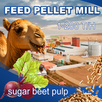 RICHI Usine de production de granulés d'aliments pour animaux à base de pulpe de betterave sucrière biologique - Coût de la ligne de production d'extrusion d'aliments pour animaux