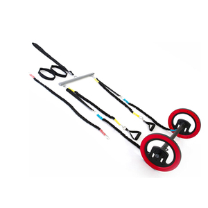 Equipo de Entrenamiento de Pilates, <span class=keywords><strong>Rueda</strong></span> de Pilates Duradera de ABS para Entrenamiento en Casa, Fuerza del Core y Entrenamiento de Múltiples Acciones - Product Image 2