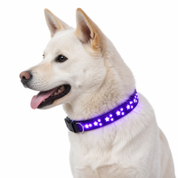 Collier pour chien en silicone moulé 3D rechargeable avec LED et fibre optique, 14 modes d'éclairage, fonction mémoire, étanche, type C, taille XS-L