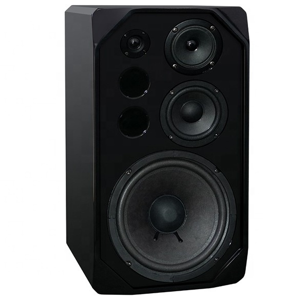 ToneWinner Hot Sale Bass Karaoke Wooden Bookshelf Sounds System Equipment Dj Speaker Party Speaker