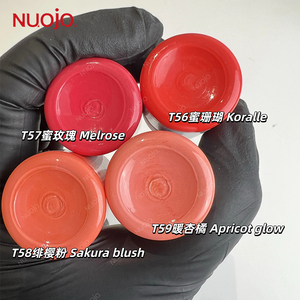 Encre de tatouage liquide organique aux couleurs les plus récentes, pigment de maquillage permanent pour les lèvres PMU, végan et sans cruauté, flacons de 5 ml/15 ml - Product Image 3