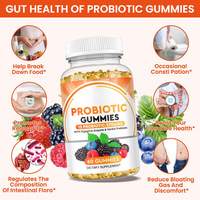 Gummies Probiotiques OEM & ODM pour la Santé Intestinale avec 12 Souches Probiotiques – Complément Probiotique pour la Digestion