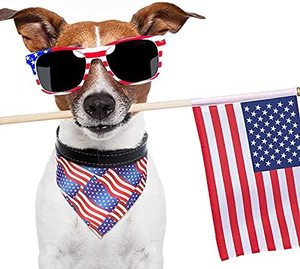 כלב מותאם אישית כותנה בנדנה מתאים לכל גודל חיות מחמד כלב שכבה כפולה לחיות מחמד בנדנה - Product Image 6