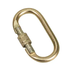 China Factory Custom 10MM Thickness Metal Carabiner 25kn Oval Screw Lock Climbing Carabiner Hook