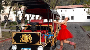 <span class=keywords><strong>Limousine</strong></span> fantastique/transport électrique touristique de <span class=keywords><strong>mariage</strong></span>/chariot Victoria de conte de fées pour le camping - Product Image 5