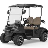 Chariot de golf 2 places haute performance 72V5Kw batterie au lithium chariot de golf électrique de luxe chasse Buggy chariot utilitaire Club voiture