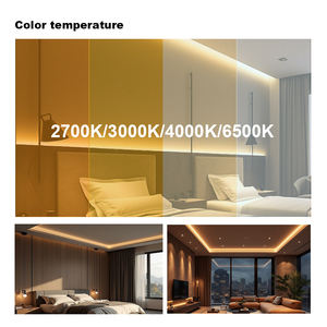 Tira de Luces LED RGBW de PU Transparente, Personalizable, de Larga Duración, Alto Brillo, Impermeable IP68, para Iluminación Exterior - Product Image 5