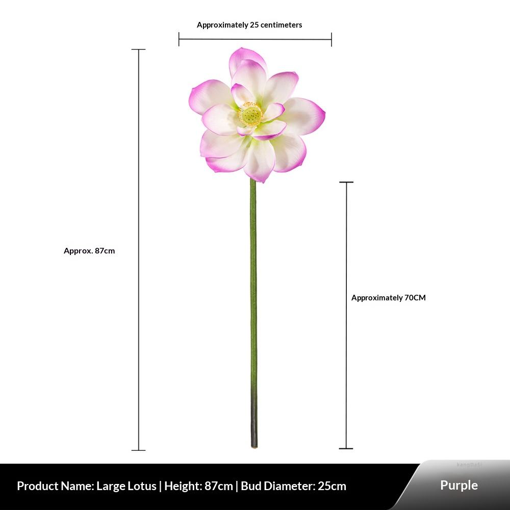 Lot de colle violette grand format, motif lotus.