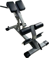 Équipement de musculation pour salle de sport, machines d'entraînement de force, chaise romaine pour extension dorsale