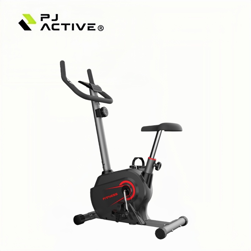 PINJIAN Home Fitness Aerobic Exercise Bike