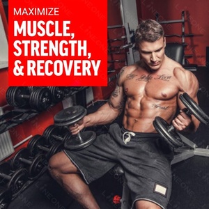 OEM <b>Creatine</b> Monohydrate Powder Mass Gainer Protein Nutritional Dietary Supplements Adults <b>Creatine</b> Booster Energy Muscle - Product Image 4