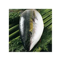 Reasonable price fresh frozen yellowtail fish with different shapes