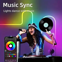 Bande lumineuse LED néon 24V étanche 15M 20M 30M RGBIC avec synchronisation musicale et contrôle par application