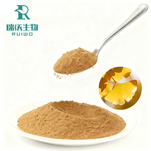 Extrait de <span class=keywords><strong>Ginkgo</strong></span> <span class=keywords><strong>Biloba</strong></span> en poudre de haute qualité, naturel, issu des <span class=keywords><strong>feuilles</strong></span>, pour complément alimentaire - Product Image 2