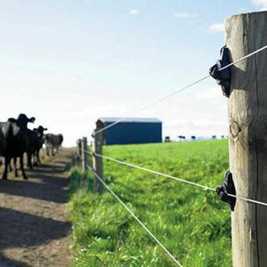 Aisladores de Plástico para Cercas Eléctricas para Ganadería y Aves de Corral, Aisladores de Poste - Product Image 6