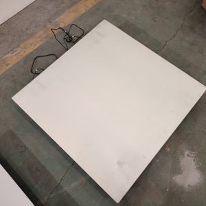 Balance électronique à plate-forme de 1000kg à bas <span class=keywords><strong>prix</strong></span> balance à plate-forme industrielle avec rampe - Product Image 2