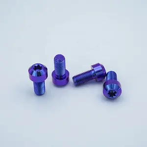 Титановые болты для мотоцикла анодированная синяя фиолетовая цилиндрическая головка для мотоцикла M10 * 15