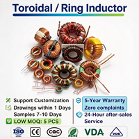Échantillon Gratuit : Bobine d'Inductance Toroidale à Noyau Annulaire, Bobine de Refoulement en Fil de Cuivre Multibrins pour Contrôleur de Charge Solaire, Performance Stable