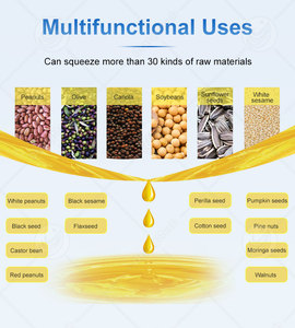 Máquina de Extração de Óleo de Coco Virgem, Semente de Chá, Vegetais e Soja ORME, Totalmente em Aço Inoxidável, para Gergelim e Nozes - Product Image 6