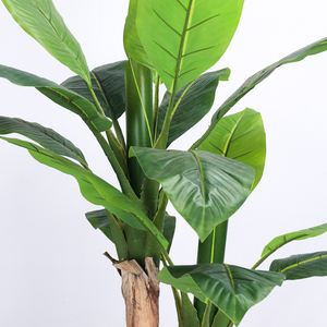 Plátano <span class=keywords><strong>de</strong></span> la mejor calidad, bonsái, <span class=keywords><strong>plantas</strong></span> <span class=keywords><strong>de</strong></span> árbol <span class=keywords><strong>de</strong></span> plástico, hoja <span class=keywords><strong>de</strong></span> plátano artificial, <span class=keywords><strong>plantas</strong></span> falsas, árbol <span class=keywords><strong>de</strong></span> plátano para decoración interior y <span class=keywords><strong>exterior</strong></span> - Product Image 5