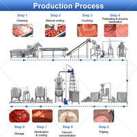 Industriële tomatensausmachine, kleine tomatenpuree-installatie, ketchup productielijn, China
