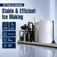 Machine à glace en paillettes industrielle ODM 30 tonnes, refroidie par eau, qualité alimentaire, haute productivité, automatique pour la logistique des produits de la mer et la conservation au froid