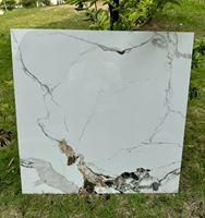 Carreaux de sol en porcelaine incassable 60x60cm Design moderne en marbre Intérieur Antidérapant Antibactérien