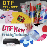 Rouleau de papier film DTF 30cmx100mètres, 2 rouleaux/boîte, design cool, vente en gros, impression jet d'encre par transfert thermique, en stock, expédition rapide en 1 jour