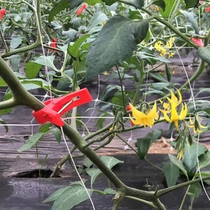Filet de soutien robuste pour plantes, légumes et fleurs, <span class=keywords><strong>treillis</strong></span> pour concombres - Product Image 1