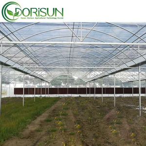 Semplice e facile da operare, che a <span class=keywords><strong>tutti</strong></span> piace usare la serra agricola Multi Span - Product Image 6