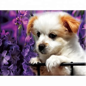 Lage minimale bestelhoeveelheid, op maat gemaakte schattige honden-stijl 5D diamant schilderijen dieren voor kamerdecoratie - Product Image 1