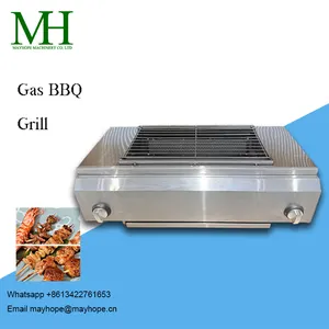 2 Burners BBQ Grill LPG Gas Grill Gas Stoves Stainless Steel Burners Outdoors Camping Barbecue