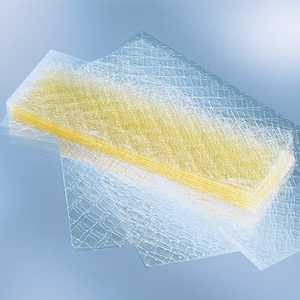 2.5g 3g 3.3g 5g <span class=keywords><strong>de</strong></span> haute qualité meilleure vente <span class=keywords><strong>en</strong></span> gros d'additifs alimentaires <span class=keywords><strong>feuille</strong></span> <span class=keywords><strong>de</strong></span> <span class=keywords><strong>gélatine</strong></span> - Product Image 5