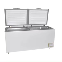 Congélateur coffre commercial à double porte en acier inoxydable de grande capacité pour supermarché avec contrôle par application pour aliments congelés, poisson, crème glacée