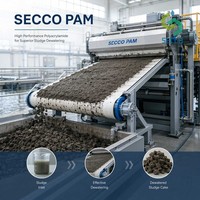 Polyacrylamide Anionique Cationique Conforme REACH SVHC PAM Poudre Blanche Floculant Produits Chimiques pour le Traitement de l'Eau CAS 9003-05-8
