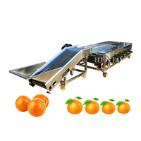 Hot Koop Tomaat Sorteren Machine/Elektronische Fruit Sorteermachine/Aardappel Grader Machine