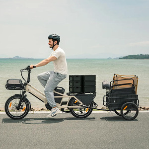 Vélo cargo électrique à longue porté<span class=keywords><strong>e</strong></span> <span class=keywords><strong>Fiido</strong></span> T3 Max avec moteur central de 250 W, 100 Nm, batterie au lithium 36 V, cadre en aluminium, déverrouillage NFC - Product Image 2