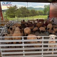 Panel para Ovejas Galvanizado de Alta Calidad, Tamaño Personalizado, Panel Portátil para Cabras en Venta, Corral para Ganado, Ovejas y Animales de Granja