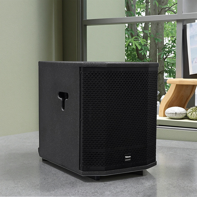 Thinuna T-12B-DPA Indoor Pro Audio 12-inch Sealed/Ported Powered Subwoofer System Active 12" Powered Subwoofer for Studio/DJ/Bar