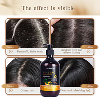 Vente en gros de shampoing et après-shampoing aux herbes de salon bio OEM Hair Care Set de shampoing et d'après-shampoing